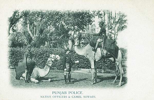 Punjab Police Native Officers and Camel Sowars