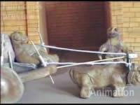 Animate a Cart!