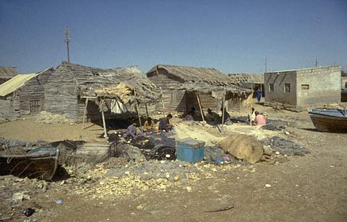 Near Hawkes Bay, Karachi