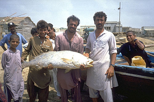 Sua Fish