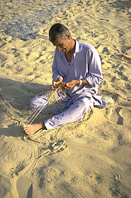 Knitting Net