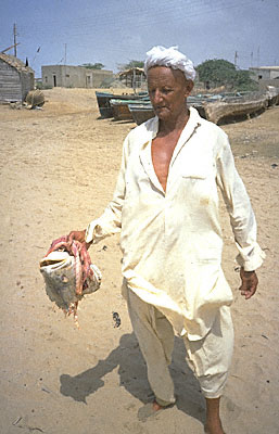 Man with Fish head
