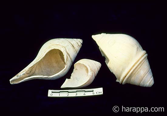 Mohenjodaro Vessels