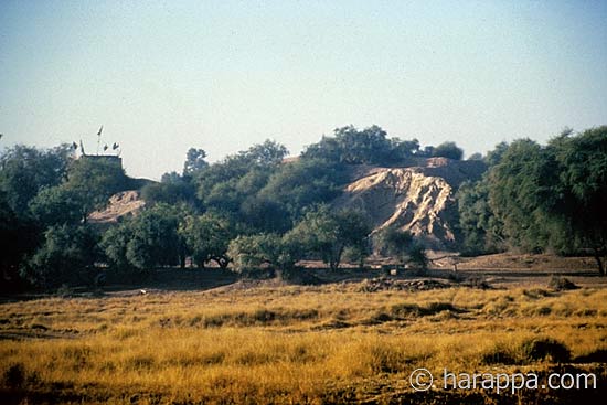 Harappa
