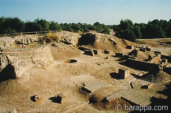 Harappa well