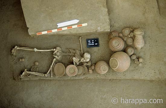 Indus Females Burial