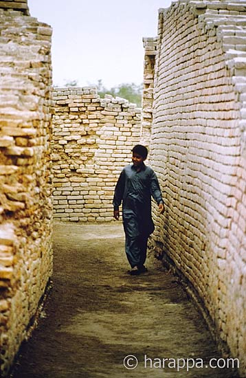 Street, Mohenjo-daro