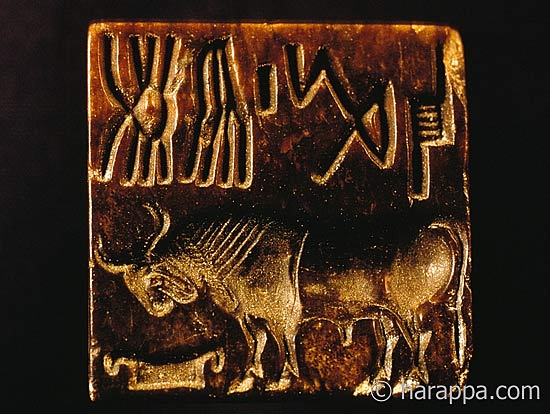 Bison Seal