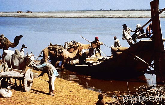 Bullock cart and boat