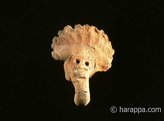 Elephant head, Harappa