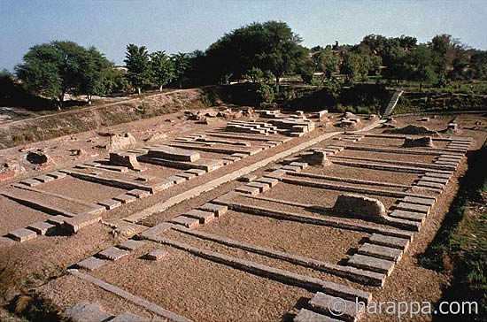 Harappa granary