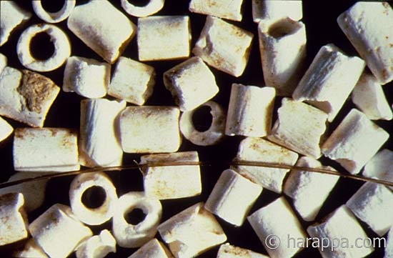 Harappa Beads
