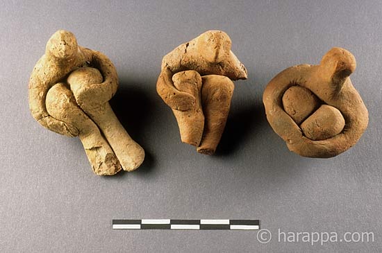 Harappa Male