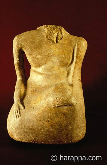Mohenjodaro Male