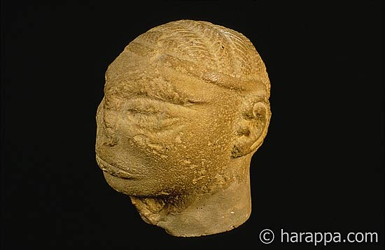 Male Head Harappa