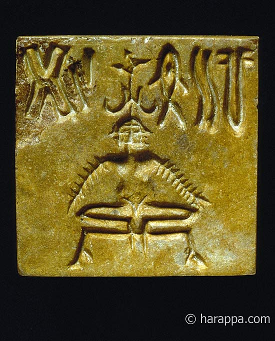 Yogi Seal